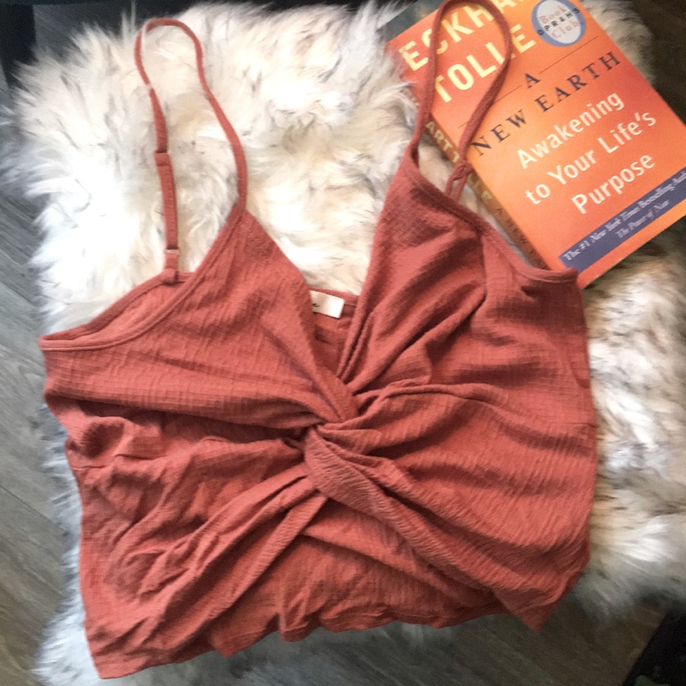 Gently Used Burnt Orange Crop Top Size L